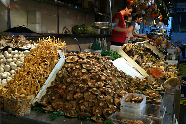 mushroom-in-spain